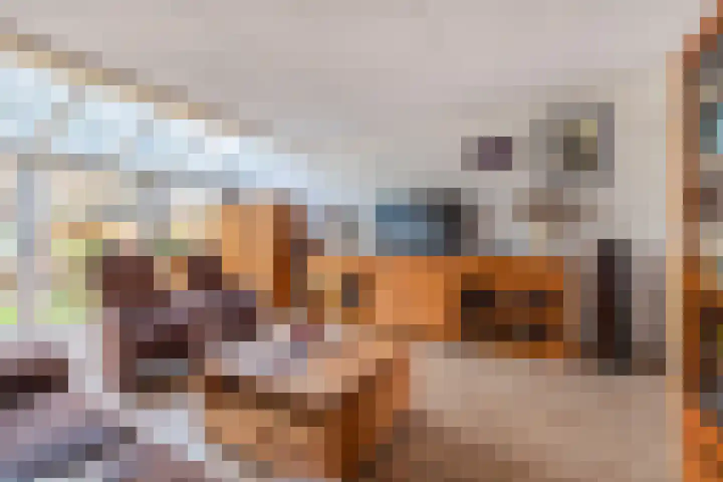 Distel 59 Zwaag thumbnail 13