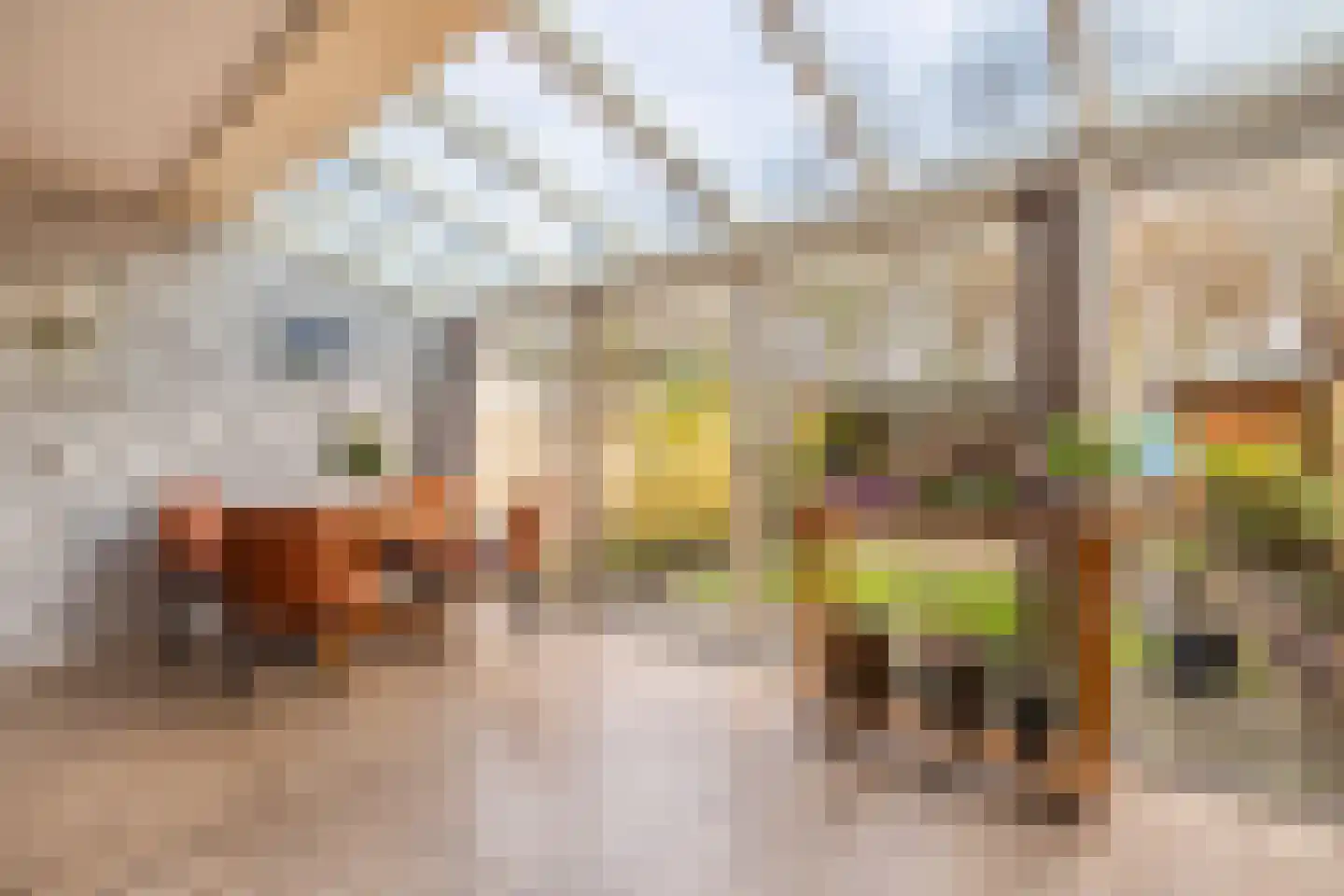 Distel 59 Zwaag thumbnail 15
