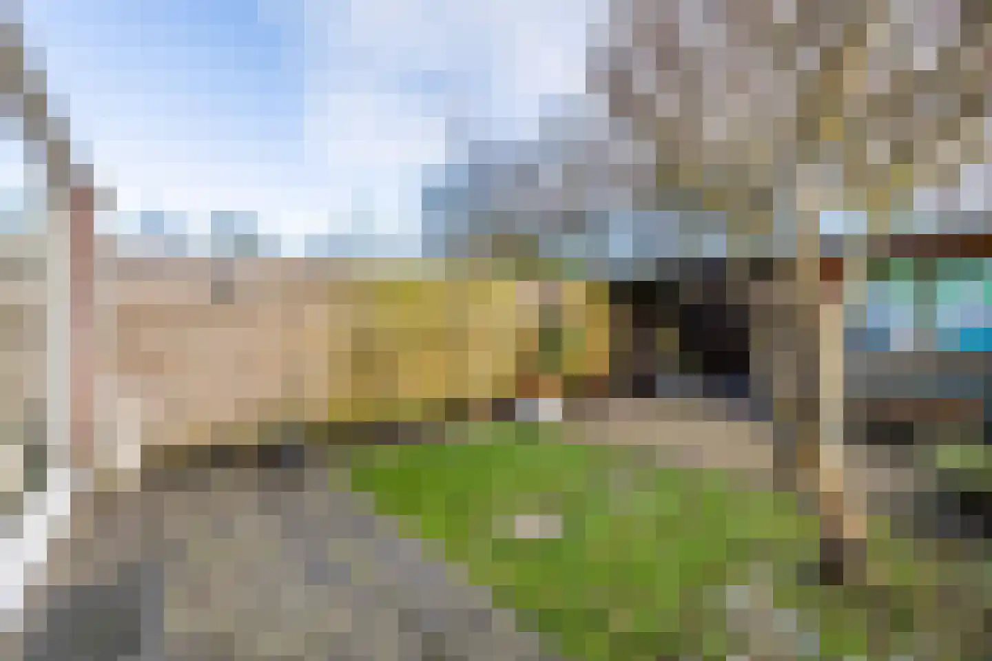 Distel 59 Zwaag thumbnail 35