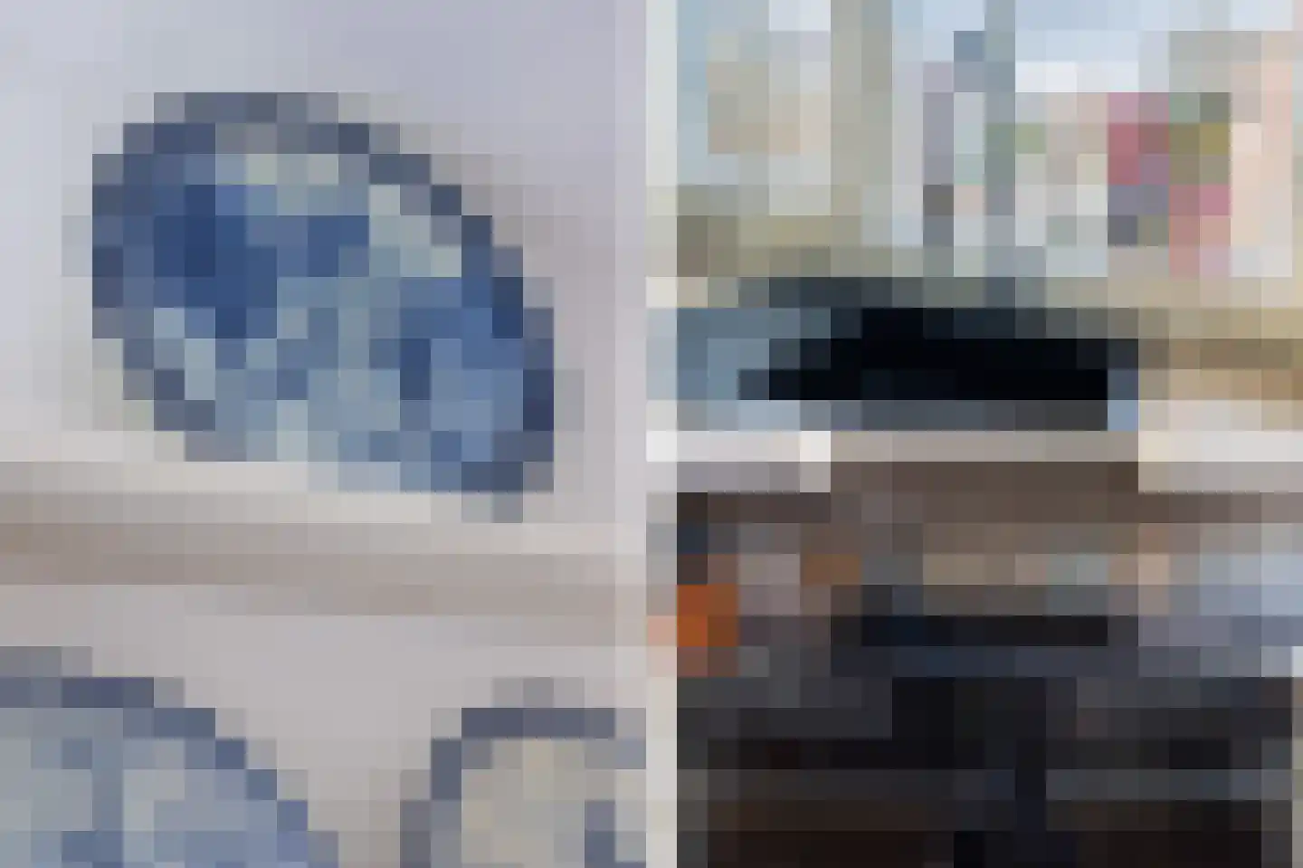 Distel 59 Zwaag thumbnail 4