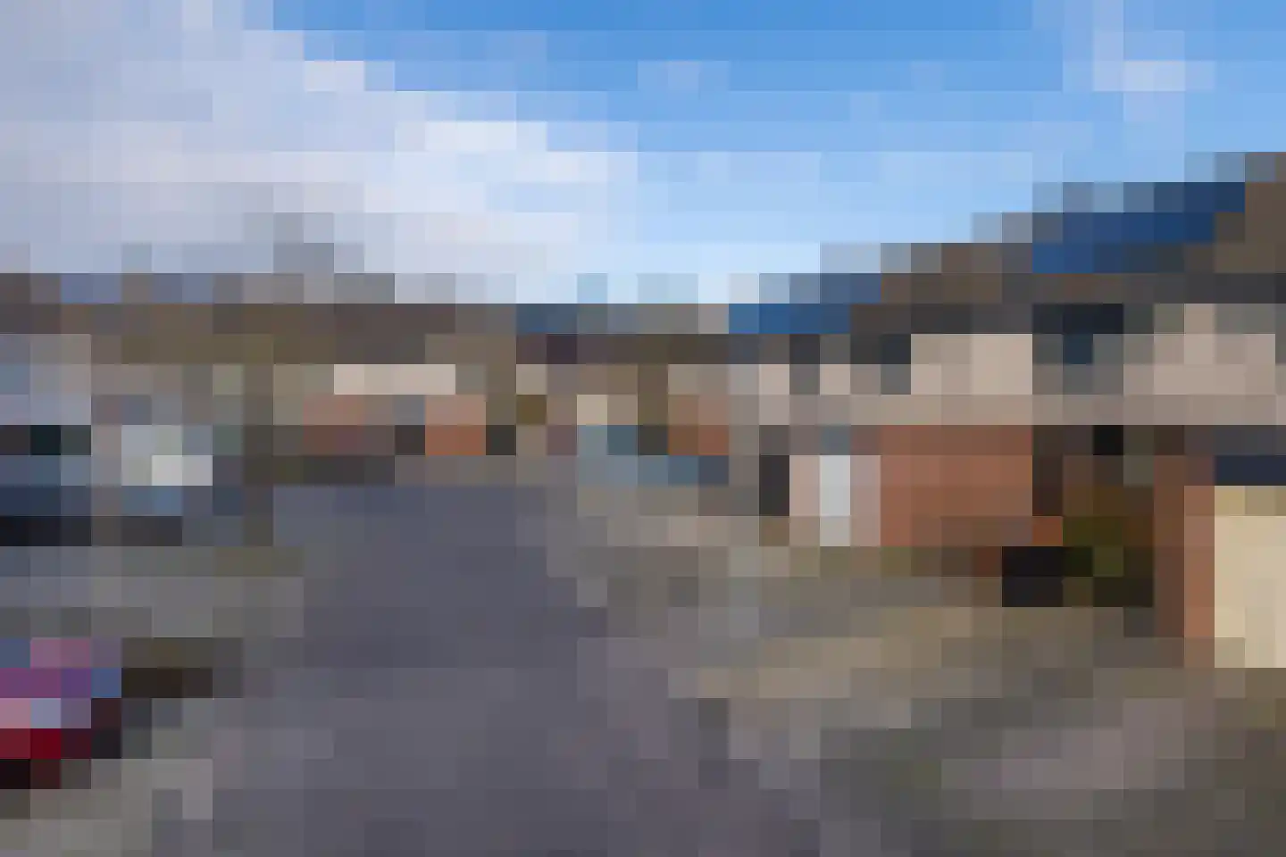 Distel 59 Zwaag thumbnail 40