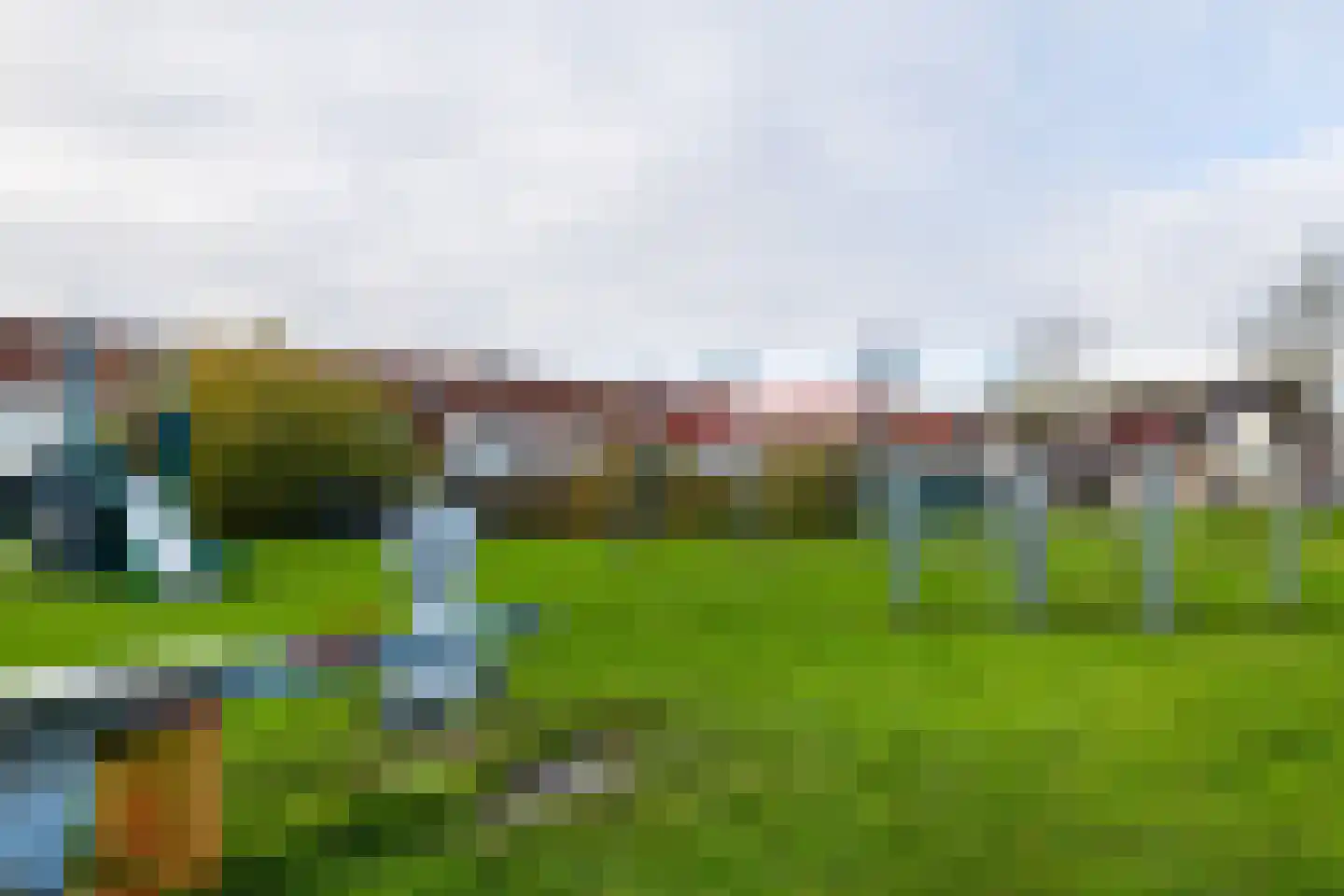 Distel 59 Zwaag thumbnail 41