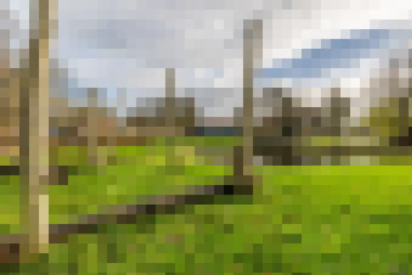 Distel 59 Zwaag thumbnail 42
