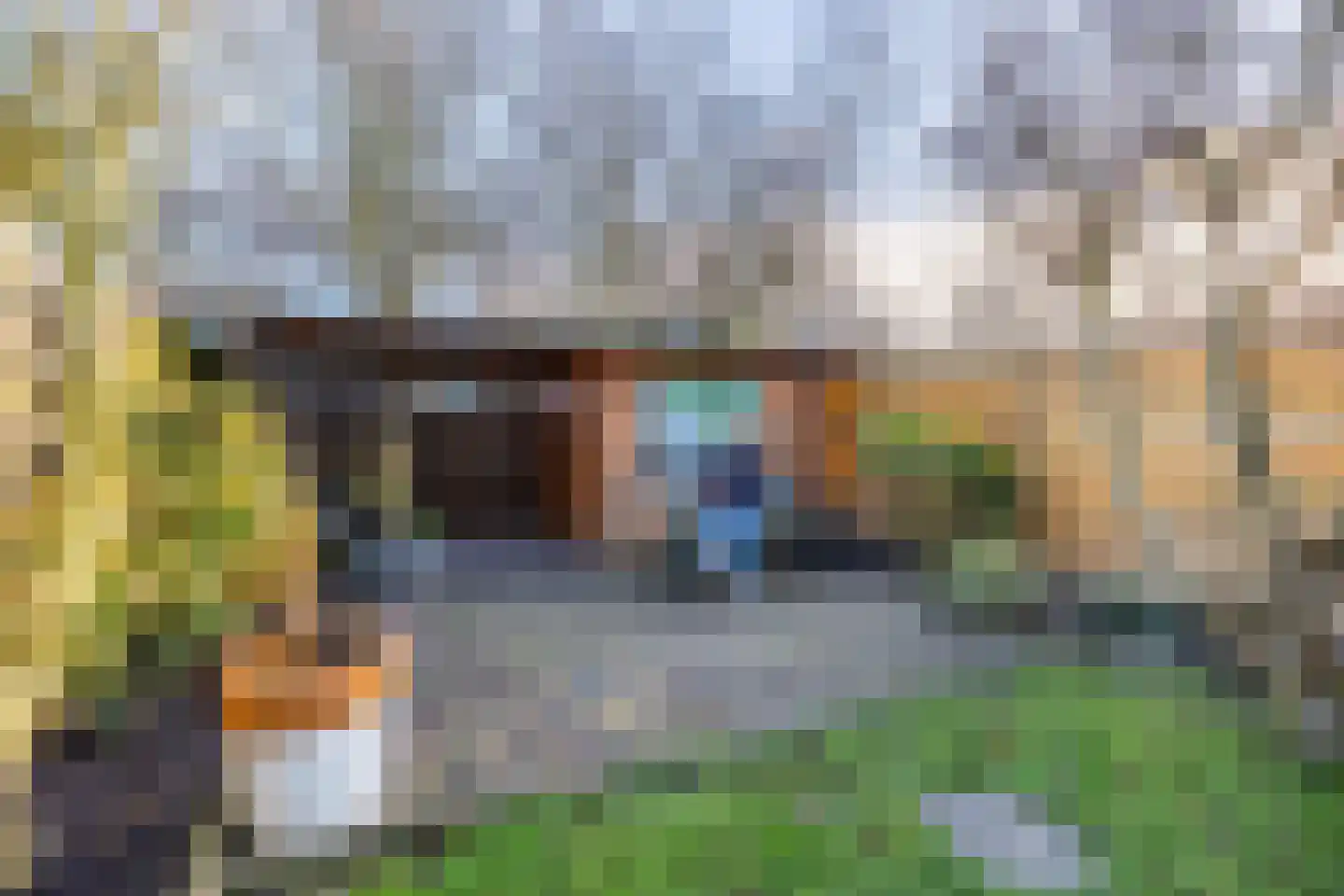 Distel 59 Zwaag thumbnail 5