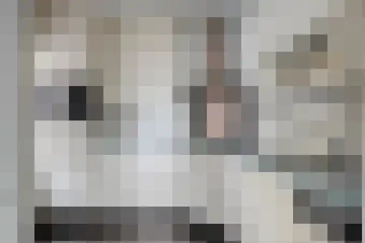 Distel 7 Best thumbnail 14