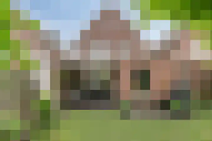 Distel 7 Best thumbnail 33