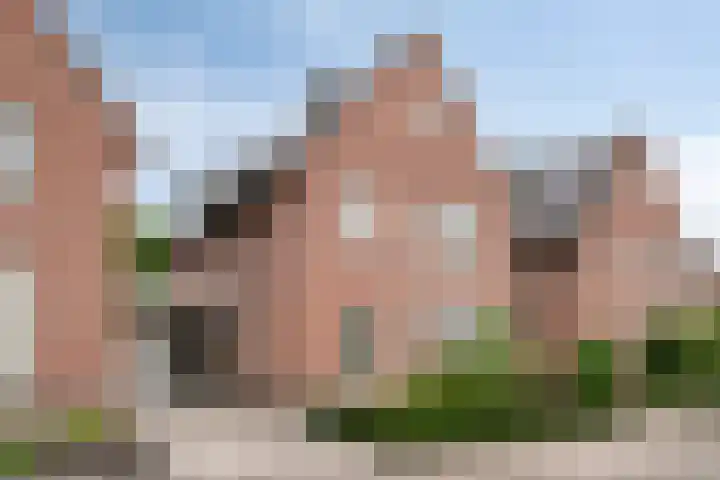Distel 7 Best thumbnail 4