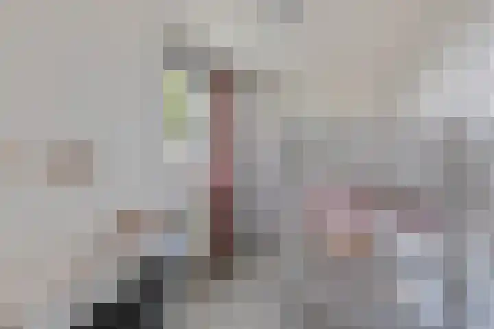 Distel 7 Oldenzaal thumbnail 16