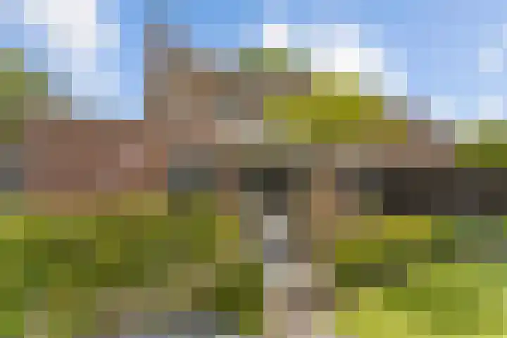 Distel 7 Oldenzaal thumbnail 18