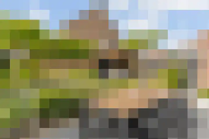 Distel 7 Oldenzaal thumbnail 19