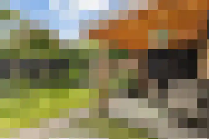 Distel 7 Oldenzaal thumbnail 20