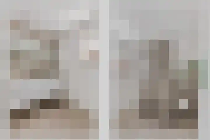 Distel 7 Oldenzaal thumbnail 4