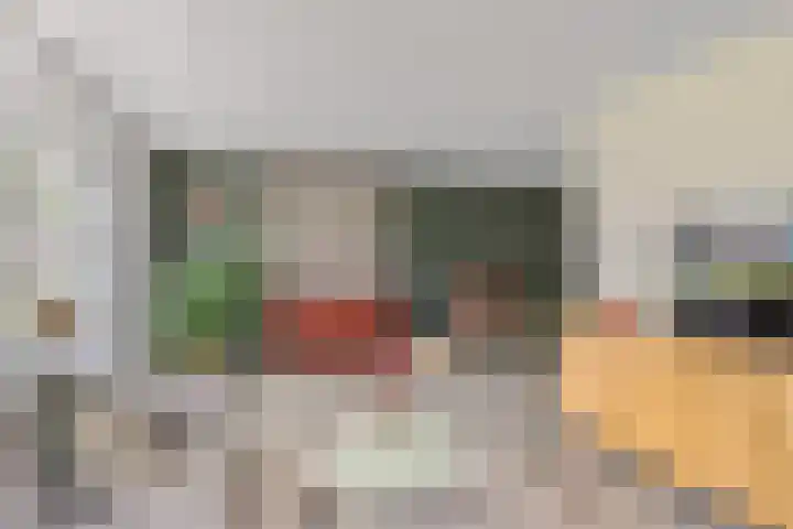 Distel 7 Oldenzaal thumbnail 8