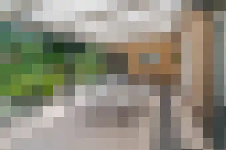 Distelberg 10 Roosendaal thumbnail 38