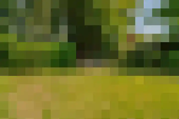 Distelberg 10 Roosendaal thumbnail 40