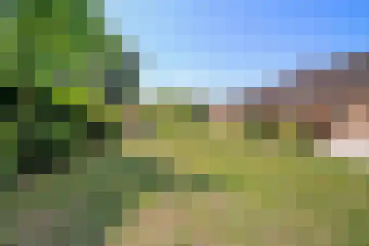 Distelberg 10 Roosendaal thumbnail 42