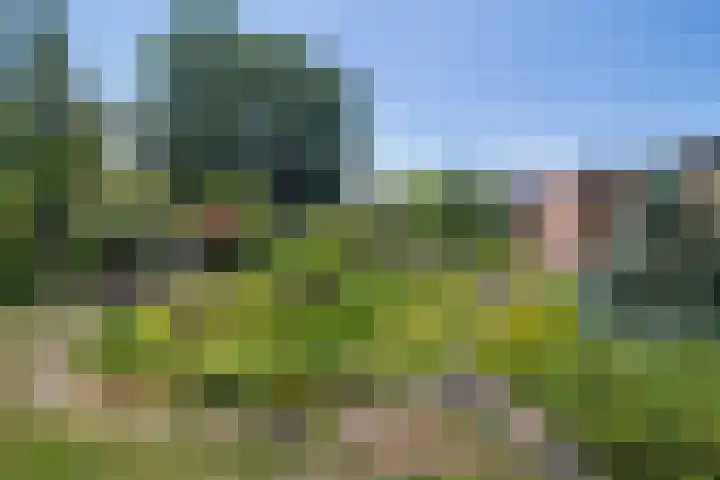 Distelberg 10 Roosendaal thumbnail 43