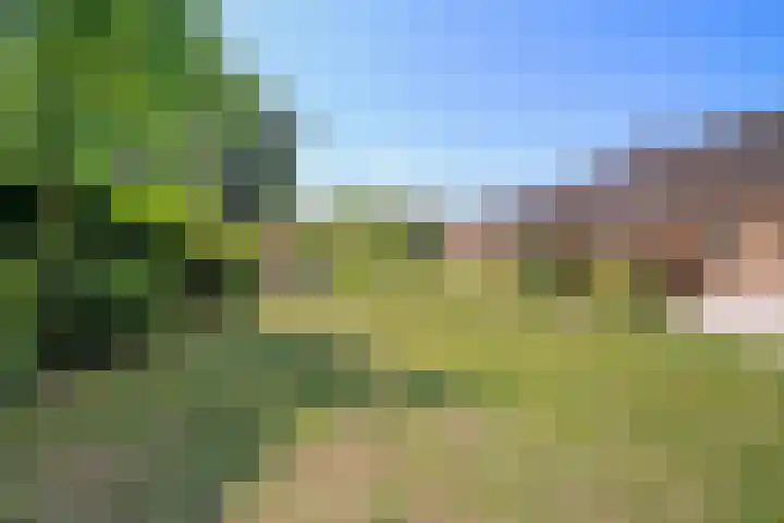 Distelberg 10 Roosendaal thumbnail 5