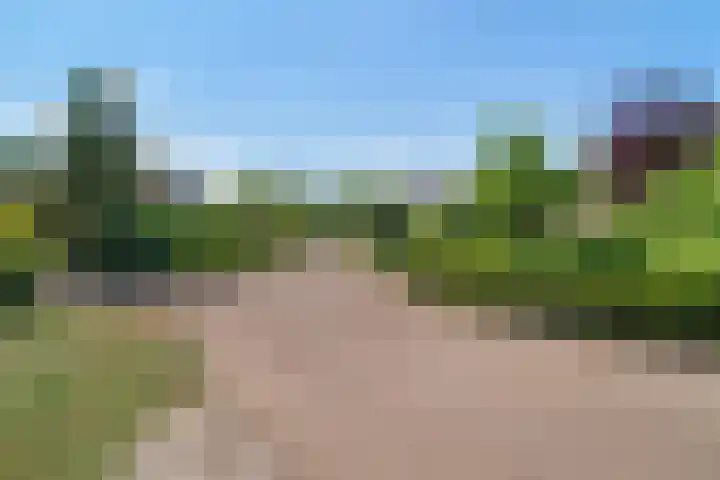 Distelberg 10 Roosendaal thumbnail 53