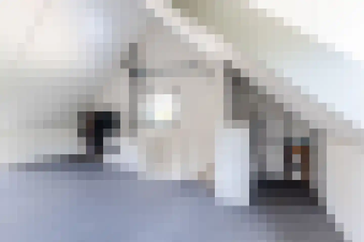 Distelbergstraat 30 Tilburg thumbnail 38