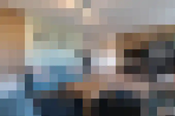 Distelbrink 9 Beilen thumbnail 10