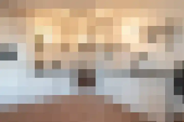 Distelbrink 9 Beilen thumbnail 17