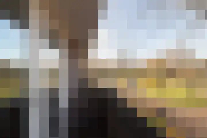 Distelbrink 9 Beilen thumbnail 21