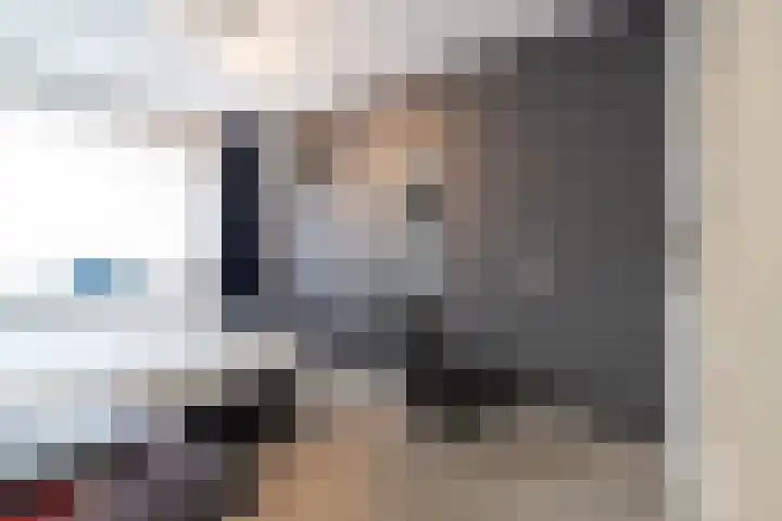 Distelbrink 9 Beilen thumbnail 24