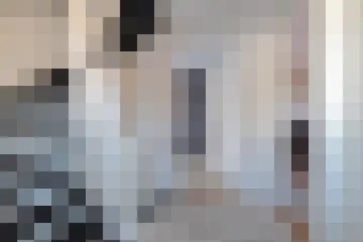 Distelbrink 9 Beilen thumbnail 30