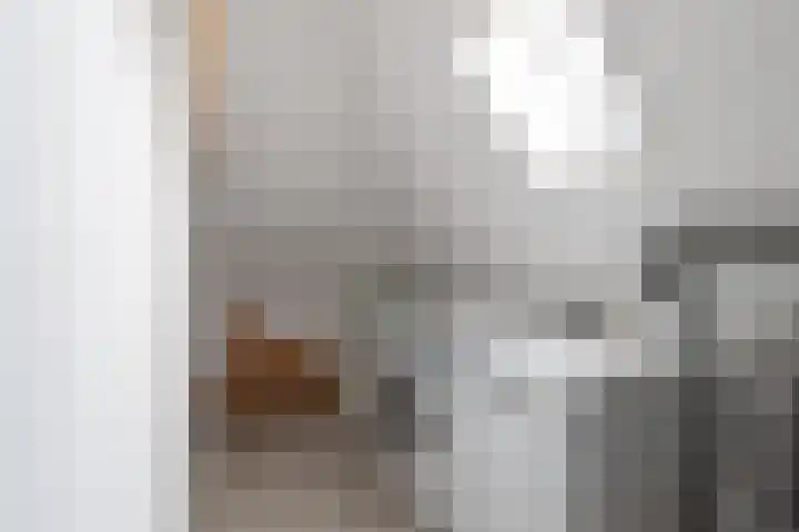 Distelbrink 9 Beilen thumbnail 31