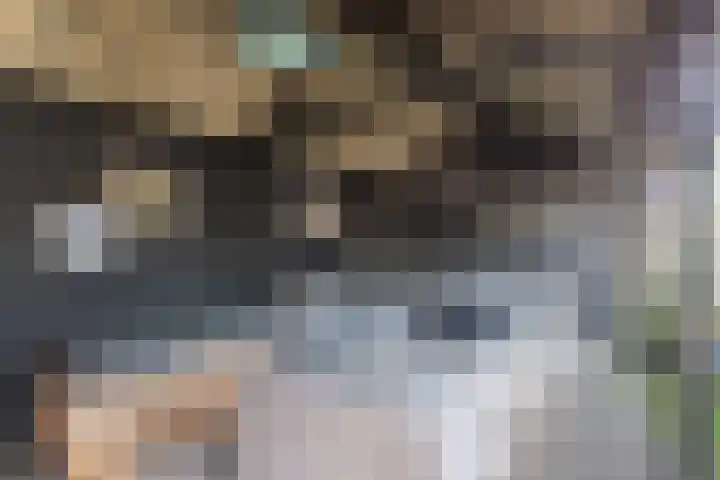 Distelbrink 9 Beilen thumbnail 37