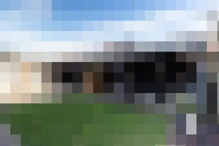 Distelbrink 9 Beilen thumbnail 39