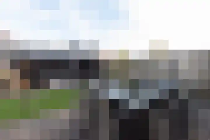 Distelbrink 9 Beilen thumbnail 4