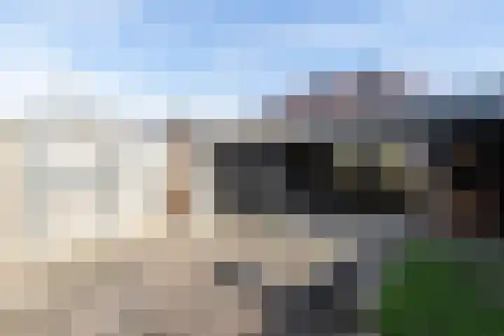 Distelbrink 9 Beilen thumbnail 40
