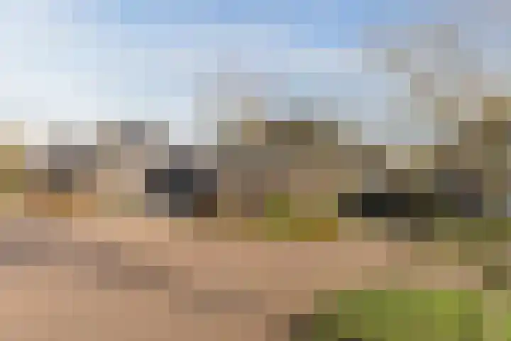 Distelbrink 9 Beilen thumbnail 41