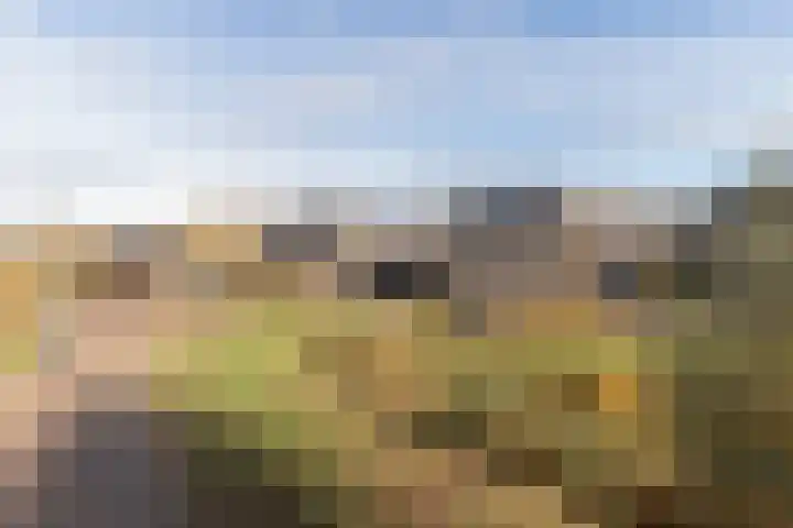 Distelbrink 9 Beilen thumbnail 42