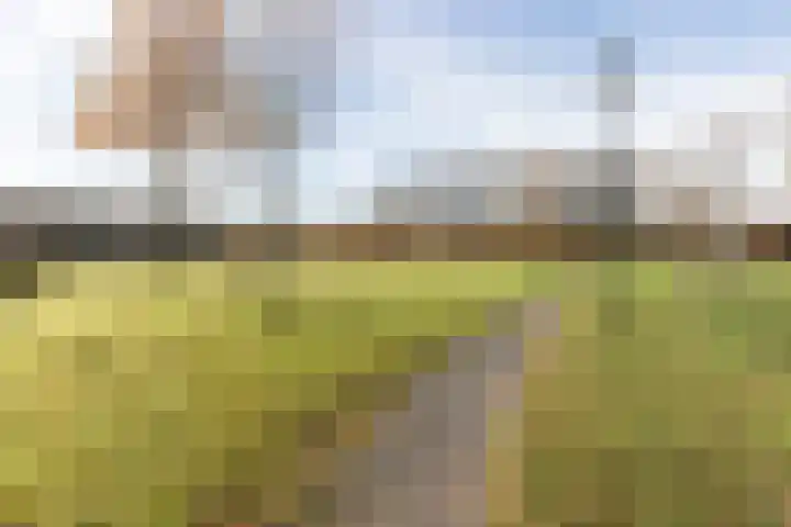 Distelbrink 9 Beilen thumbnail 44