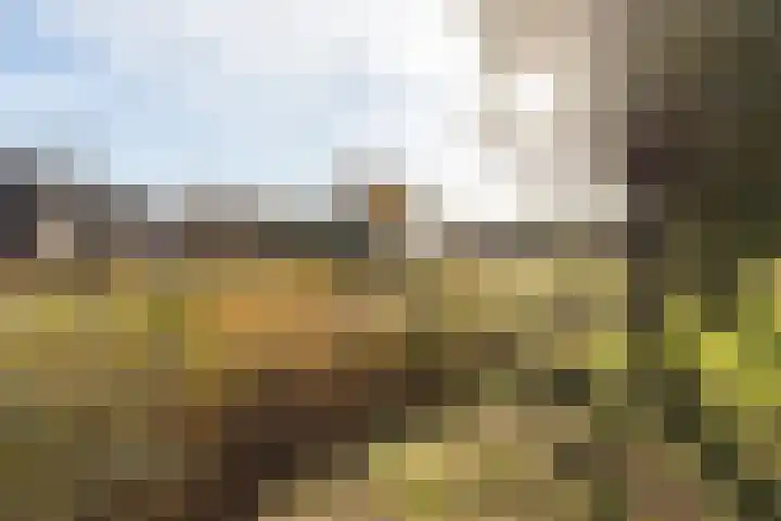 Distelbrink 9 Beilen thumbnail 45
