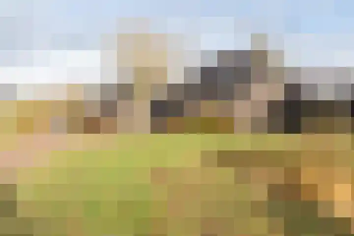 Distelbrink 9 Beilen thumbnail 5