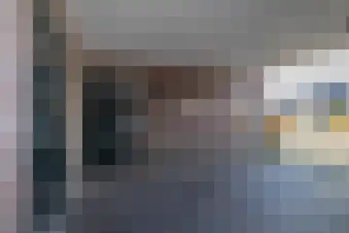 Distelbrink 9 Beilen thumbnail 7