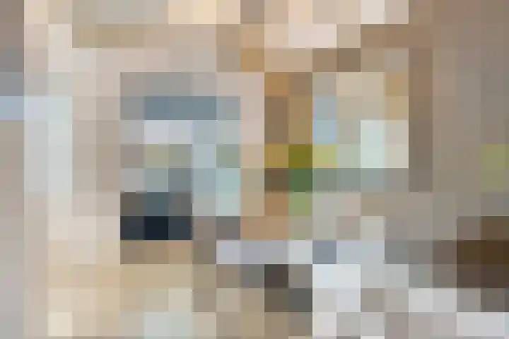 Distelhof 5 Roermond thumbnail 10