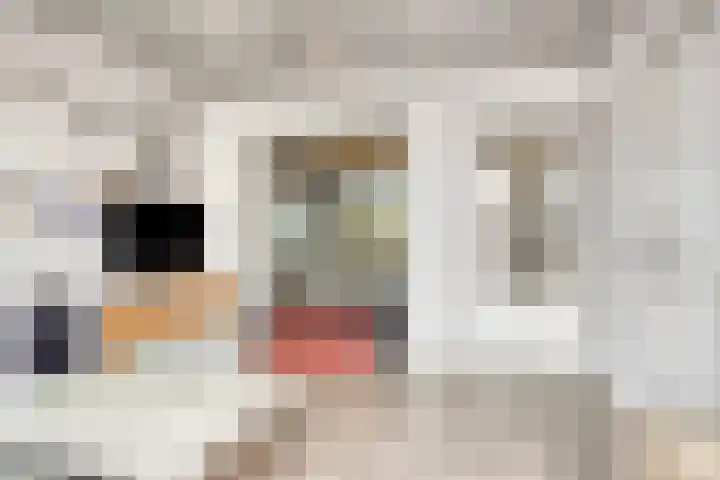 Distelhof 5 Roermond thumbnail 15