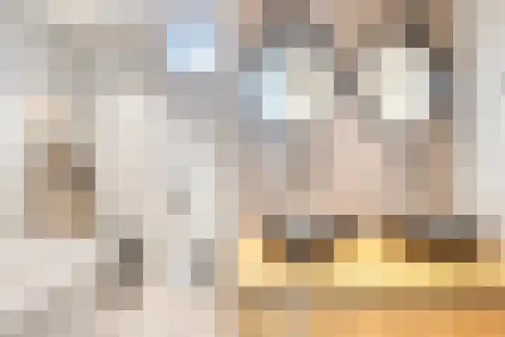 Distelhof 5 Roermond thumbnail 17