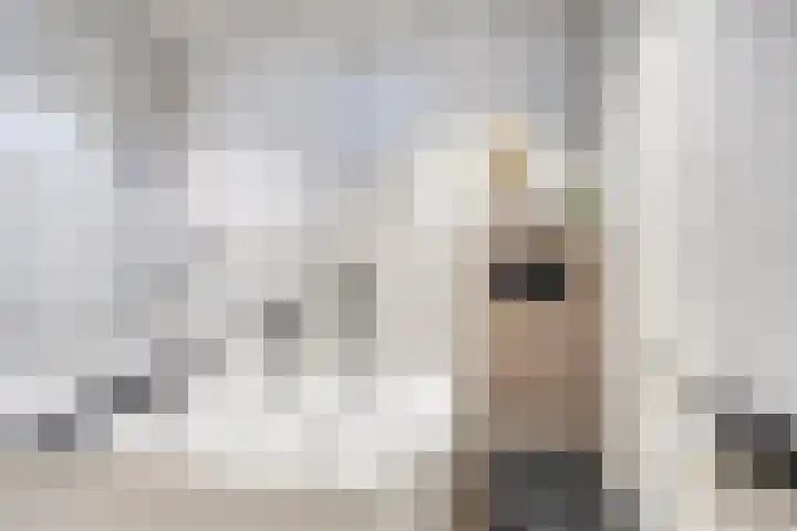 Distelhof 5 Roermond thumbnail 18