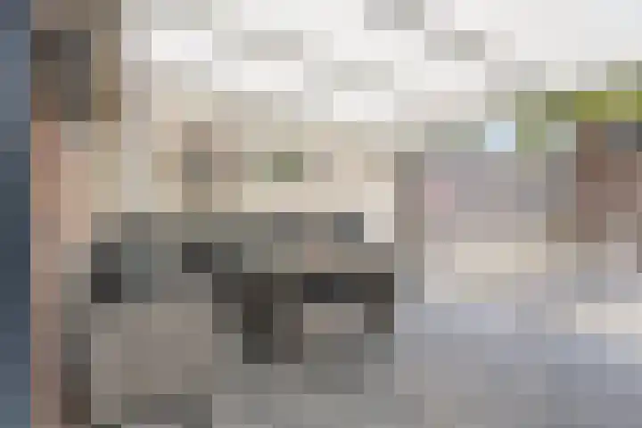 Distelhof 5 Roermond thumbnail 25
