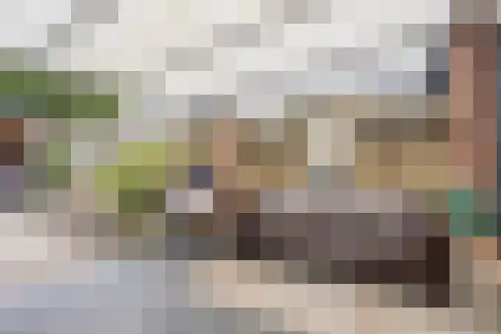 Distelhof 5 Roermond thumbnail 26