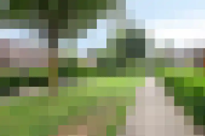 Distelhof 5 Roermond thumbnail 34