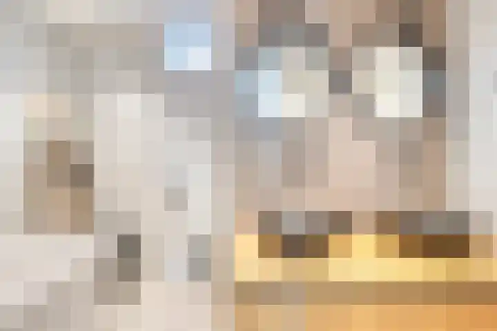 Distelhof 5 Roermond thumbnail 4