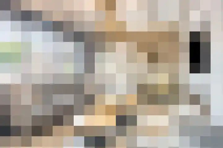 Distelhof 5 Roermond thumbnail 7