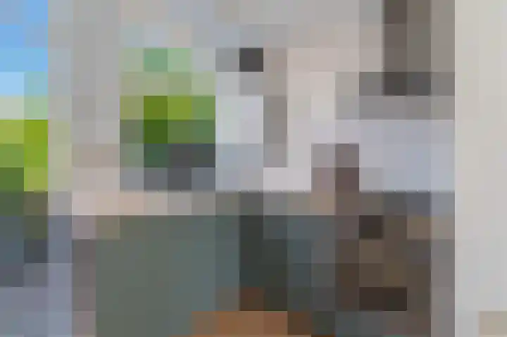 Distelkruisstraat 1 Amsterdam thumbnail 10